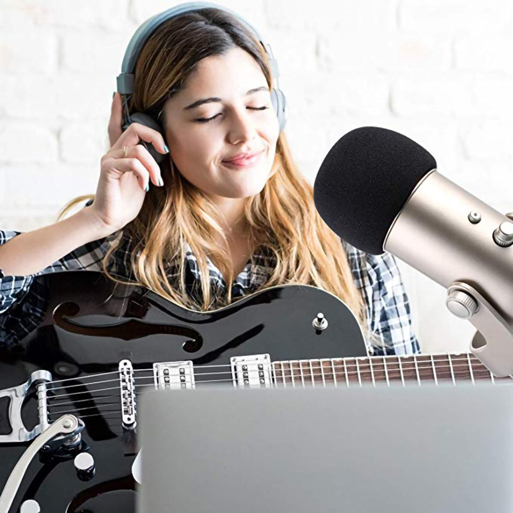 Губка для микрофона, пенопласт – обзор и цена Recording Pop Filter
